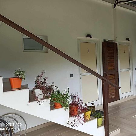 La Maison Du Voyage Tevaitoa Экстерьер фото
